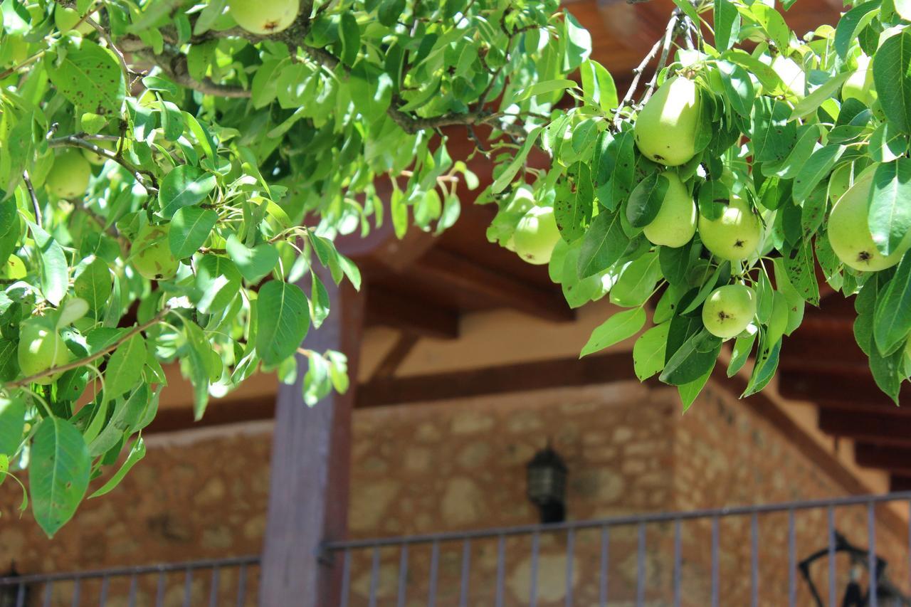 Complejo Rural La Coronilla Konuk evi Jarandilla de la Vera Dış mekan fotoğraf